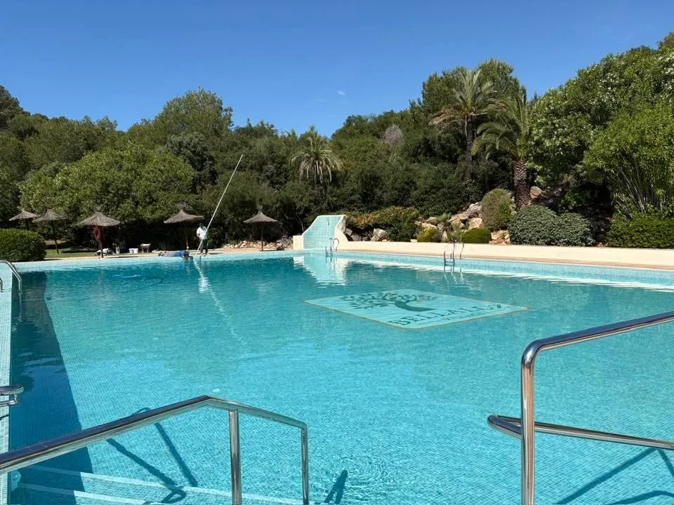 Blz pool 2