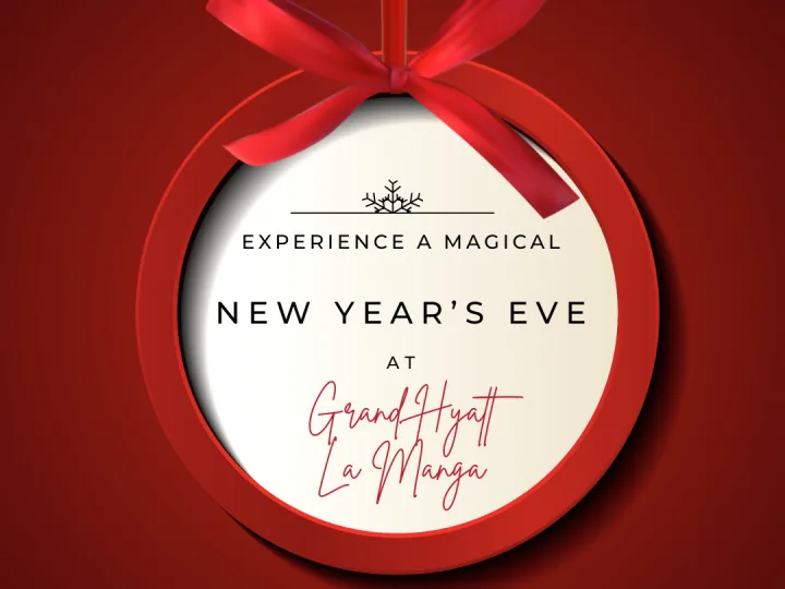 What are you doing this Christmas & New Year?