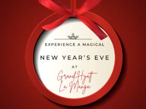 What are you doing this Christmas & New Year?